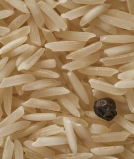 Basmati Rice